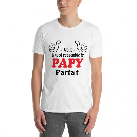 T-shirt homme Papy Parfait