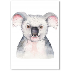 Affiche poster Koala