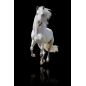 Affiche poster Cheval blanc