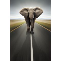 Affiche poster Eléphant route