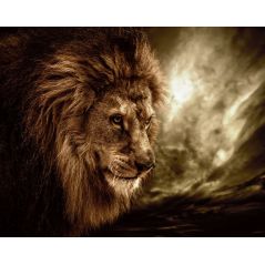 Affiche poster Le roi Lion
