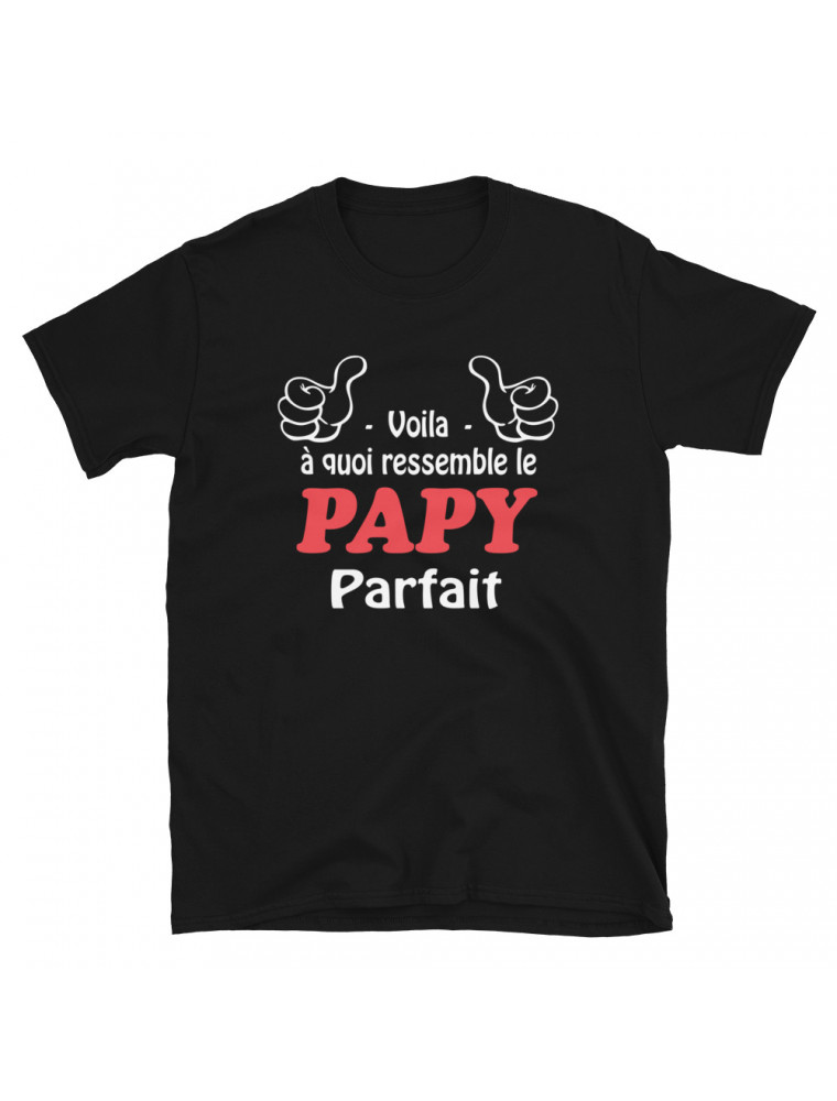 T-shirt humour Papy Parfait