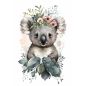 Affiche poster Bébé Enfant - Koala
