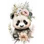 Affiche poster Bébé Enfant - Panda joli